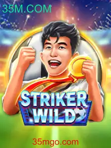 Descubra as Emoções de StrikerWILD: Um Jogo de Impacto Total